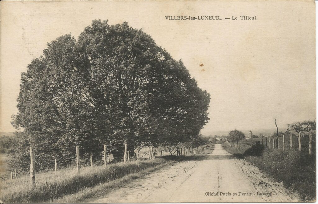 Carte postale ancienne représentant le tilleul majestueux du village de Villers-lès-Luxeuil
