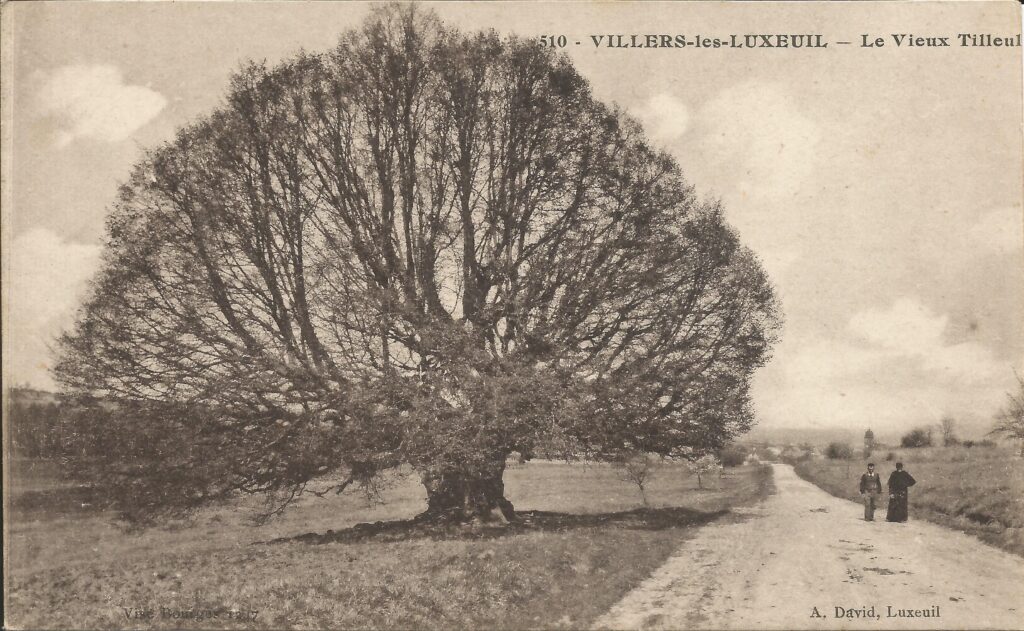 Carte postale ancienne représentant le tilleul majestueux du village de Villers-lès-Luxeuil ainsi qu'un habitant et le curé